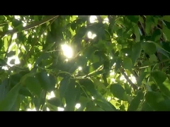 탐지 수술 도구